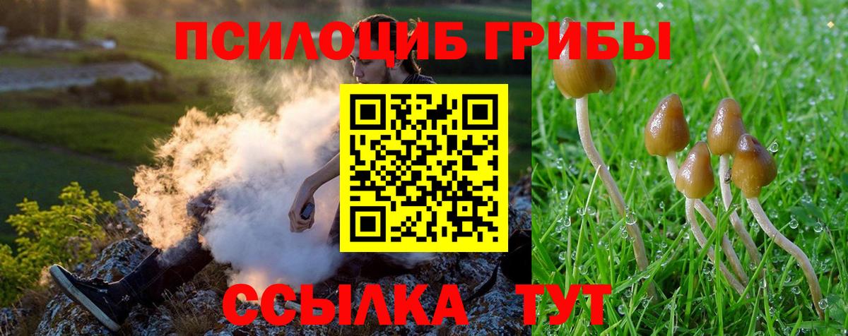 Анапа  Псилоцибиновые грибы MAGIC MUSHROOMS  как найти закладки  Вход с VPN 